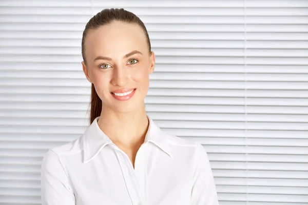 Business woman — Stock Photo, Image