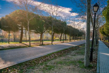 Güzel bir manzara. Şehir parkının yolu. Sağlıklı, metropolitan, spor ve eğlenceli hayat kavramı. Yatay fotoğraf ve seçici odak