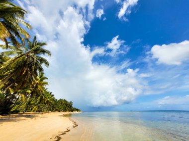 tropical island with palms and sandy beach near ocean, blue sky with clouds 