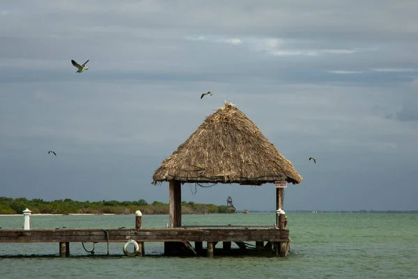 Tropical Birds Flying Sea Water Bungalow Pier — Stockfoto