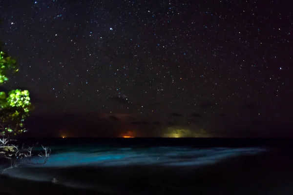 beautiful night view of the sea with stars, galaxy constellation