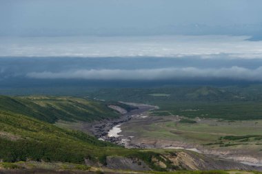 Yeşil çimenli manzaralı dağlar 