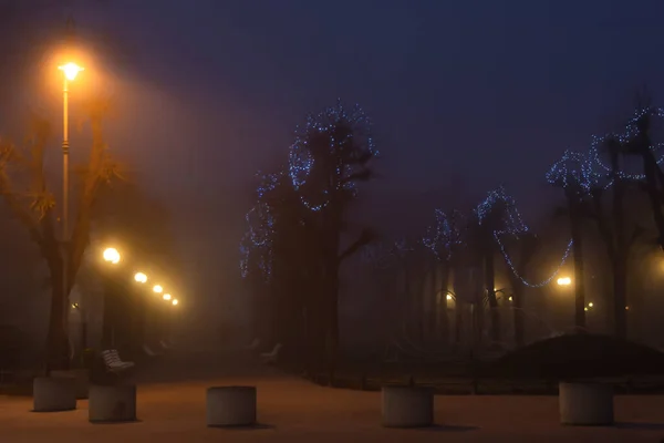 Small Park Night Time Fog — Stock Photo, Image