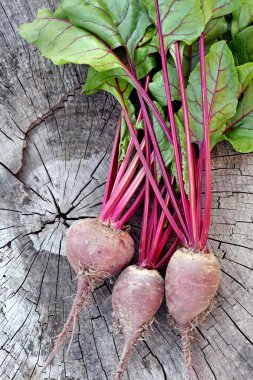 kırmızı pancar. bahçeden taze organik şeker pancarı.