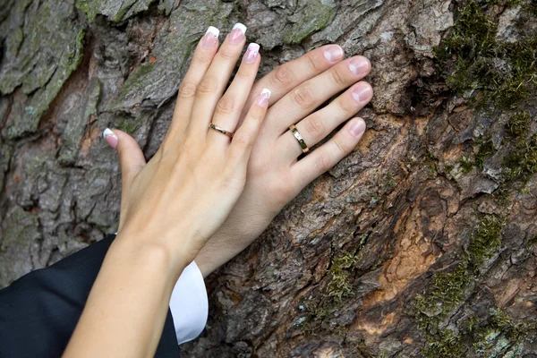 Bröllop. bara gifta par händer tillsammans. — Stockfoto