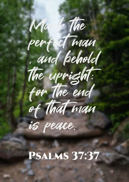 English Bible詩篇 完全な人を造り その人の終わりのために右を見ることは平和の詩篇37 — ストック写真