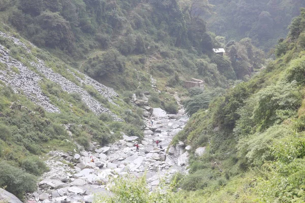 Río Está Naturaleza Cascada Bhagu Dharamshala —  Fotos de Stock
