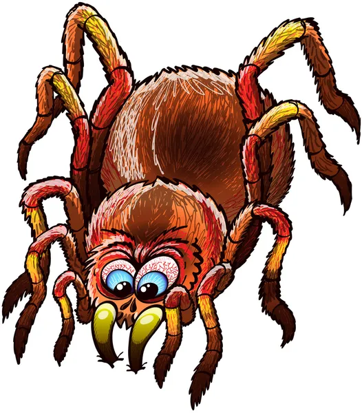 Vastbesloten tarantula — Stockvector
