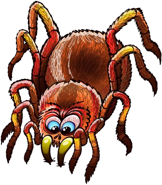 Tarántula determinada — Vector de stock