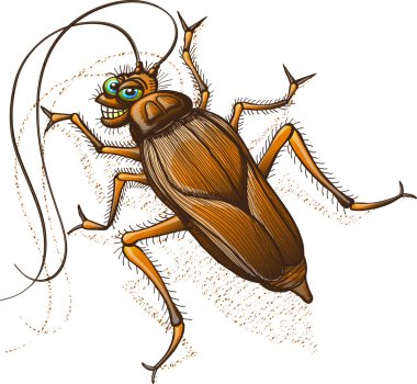 Disgusting brown cockroach clipart