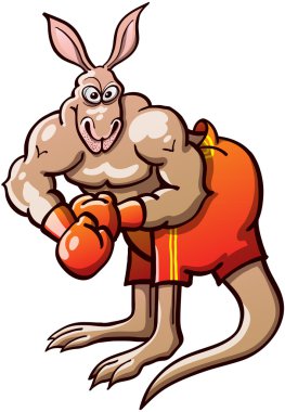 boksör kanguru
