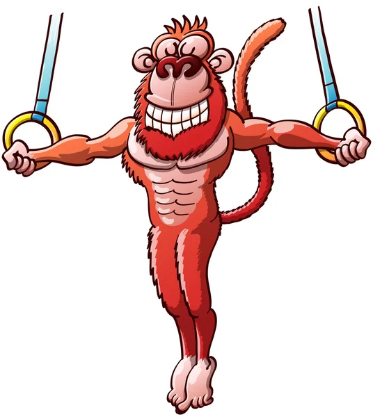 Athletic red monkey — Stock Vector