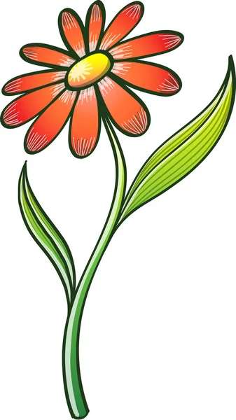 Elegante oranje daisy — Stockvector