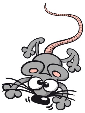 Koca burun ile şirin gri fare