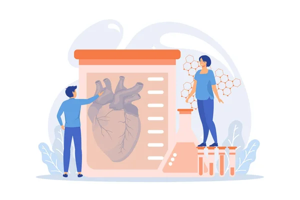 Cientistas Crescendo Grande Coração Tubo Ensaio Laboratório Órgãos Cultivados Laboratório — Vetor de Stock