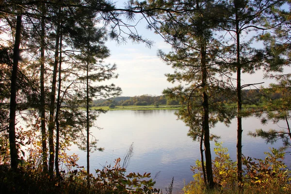 Lago Floresta Outono — Fotografia de Stock