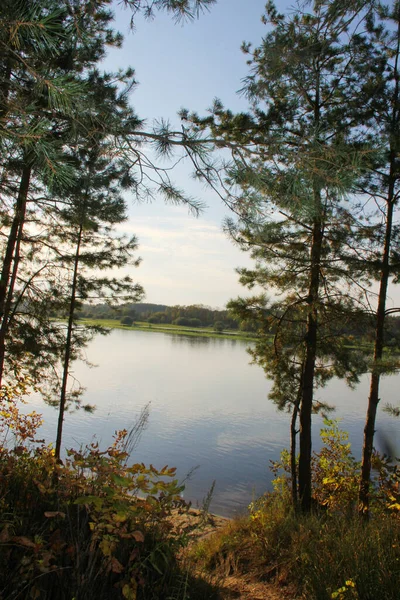 Lago Floresta Outono — Fotografia de Stock