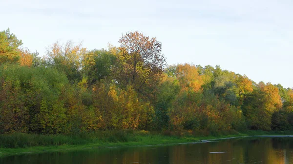 호수는 가을입니다 가을에 공원에서 호수가 — 스톡 사진
