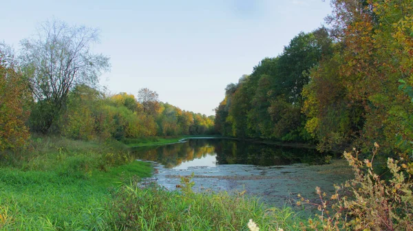 Lac Automne Automne Dans Parc Paysage Automne Avec Lac — Photo