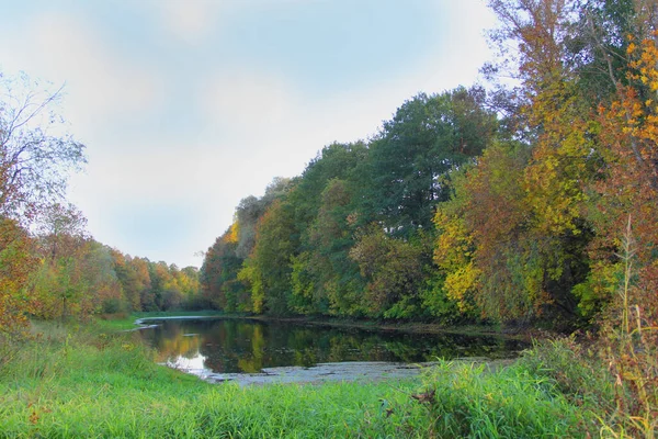 秋の湖だ 公園の秋だ 湖のある秋の風景 — ストック写真