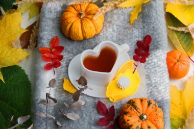 Bir fincan kahve ve yaprak. Sonbahar, balkabağıyla, kalp şeklinde fincanla, sıcak battaniyeyle, tatlılarla dolu. Kabak ve yapraklar. Sonbahar yaprakları ve meyveler