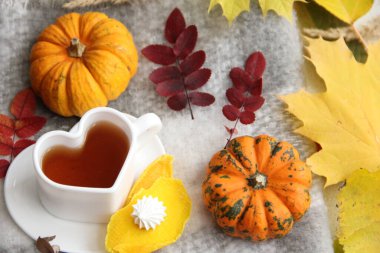 Bir fincan kahve ve yaprak. Sonbahar, balkabağıyla, kalp şeklinde fincanla, sıcak battaniyeyle, tatlılarla dolu. Kabak ve yapraklar. Sonbahar yaprakları ve meyveler