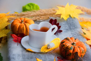 Bir fincan kahve ve yaprak. Sonbahar, balkabağıyla, kalp şeklinde fincanla, sıcak battaniyeyle, tatlılarla dolu. Kabak ve yapraklar. Sonbahar yaprakları ve meyveler