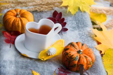 Bir fincan kahve ve yaprak. Sonbahar, balkabağıyla, kalp şeklinde fincanla, sıcak battaniyeyle, tatlılarla dolu. Kabak ve yapraklar. Sonbahar yaprakları ve meyveler