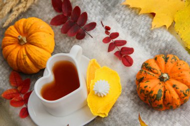 Bir fincan kahve ve yaprak. Sonbahar, balkabağıyla, kalp şeklinde fincanla, sıcak battaniyeyle, tatlılarla dolu. Kabak ve yapraklar. Sonbahar yaprakları ve meyveler