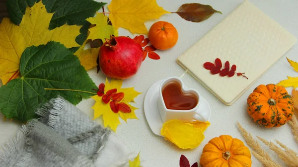 Autumn Still Life Pumpkin Heart Shaped Mug Tea Blanket Book — Stock Photo, Image