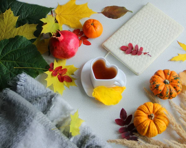 秋はまだカボチャと生活 お茶とハート型のマグカップ カボチャと葉 秋の紅葉と果実 ストック写真