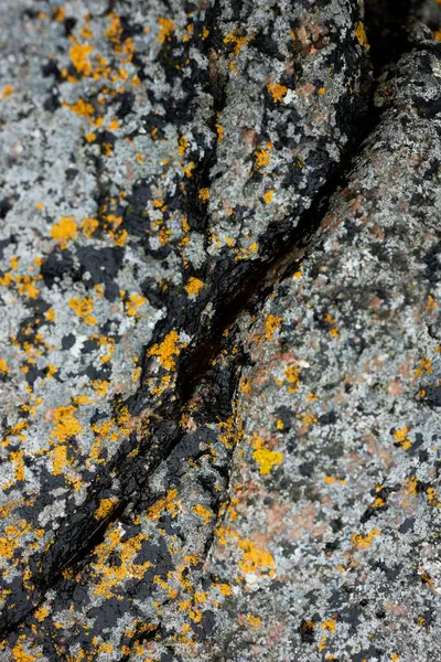 Rochers Étonnants Bord Côte Dans Île Danoise — Photo