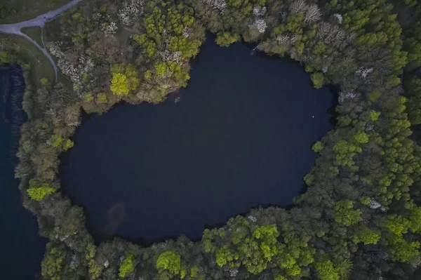 Trees Forming Hole Little Lake — Stok fotoğraf