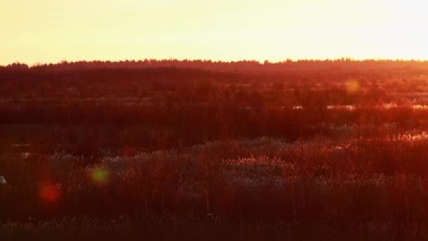 Панорама Червоного Заходу Сонця Данському Озері — стокове відео