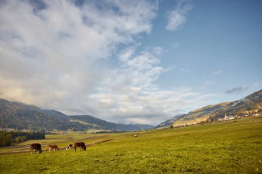 İtalya 'daki Dolomite Dağları