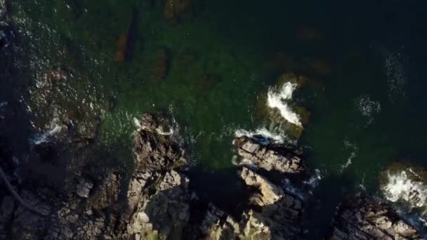 Хвилі Які Ють Скелях Пляжі — стокове відео
