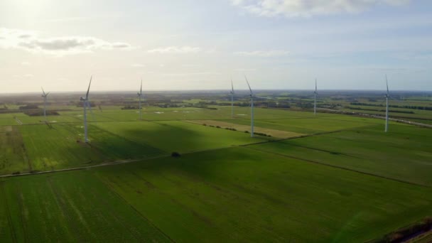 Windmill Field Denmark — Stock Video