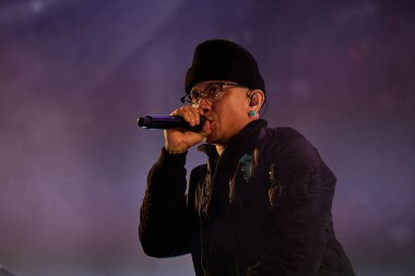 Siyah bezelyeler Nibe 'de gösteri yapıyor.