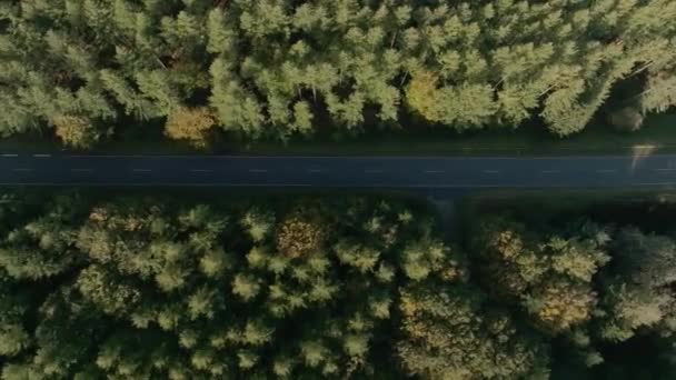 Беспилотник Пролетает Над Национальным Парком Ребильд Баккер Денмарке — стоковое видео