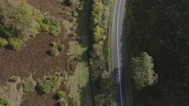 Dron Projíždí Národním Parkem Rebild Bakker Denmarku — Stock video