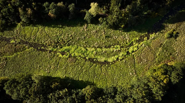 Dron Projíždí Národním Parkem Rebild Bakker Denmarku — Stock fotografie