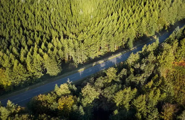 Drone Going Rebild Bakker National Park Denmark — 图库照片