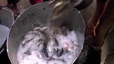 Mid Close of Fish in Fish Bucket