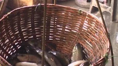 Balık Asya pazarı, Hindistan