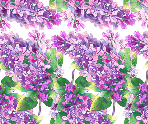 Spring lilac — Stock Photo, Image