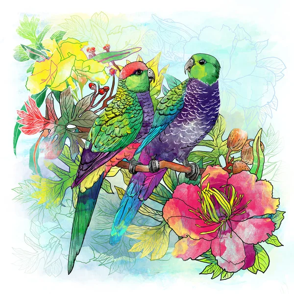 Parrots and flowers — Stock Photo, Image