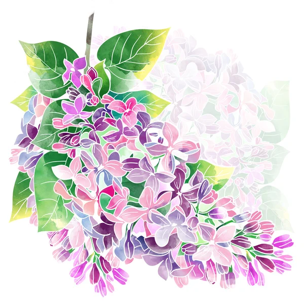 Spring lilac — Stock Photo, Image