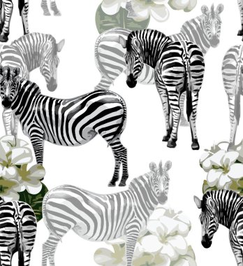 Zebras seamless modeli