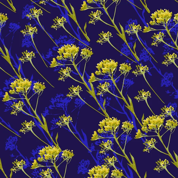 Fleurs Helichrysum — Image vectorielle