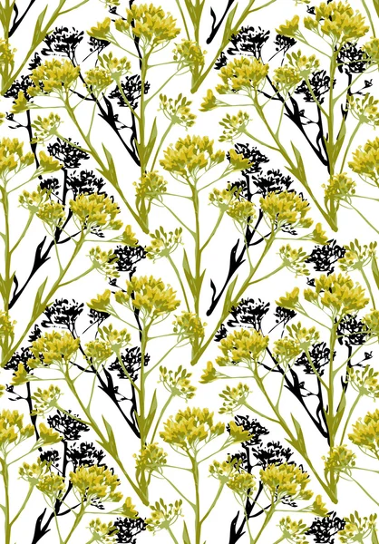 Flores Helichrysum — Vector de stock